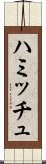 ハミッチュ Scroll