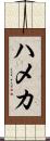 ハメカ Scroll