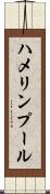 ハメリンプール Scroll