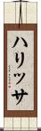 ハリッサ Scroll