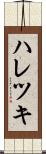 ハレツキ Scroll
