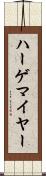 ハーゲマイヤー Scroll