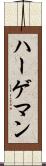 ハーゲマン Scroll