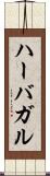 ハーバガル Scroll