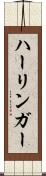 ハーリンガー Scroll