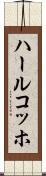 ハールコッホ Scroll