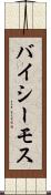 バイシーモス Scroll