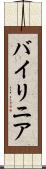 バイリニア Scroll