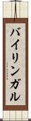 バイリンガル Scroll