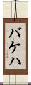バケハ Scroll