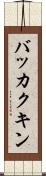 バッカクキン Scroll