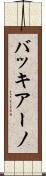 バッキアーノ Scroll