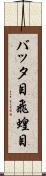 バッタ目 Scroll