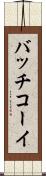 バッチコーイ Scroll