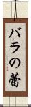 バラの蕾 Scroll