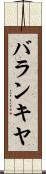 バランキヤ Scroll