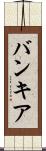 バンキア Scroll