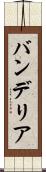 バンデリア Scroll