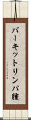 バーキットリンパ腫 Scroll