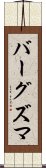 バーグズマ Scroll