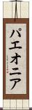 パエオニア Scroll