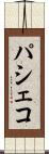 パシェコ Scroll