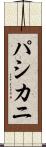 パシカニ Scroll
