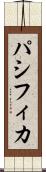 パシフィカ Scroll