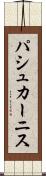 パシュカーニス Scroll