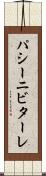 パシーニビターレ Scroll