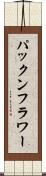 パックンフラワー Scroll