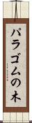 パラゴムの木 Scroll