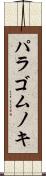 パラゴムノキ Scroll