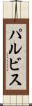 パルビス Scroll