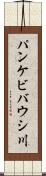 パンケビバウシ川 Scroll