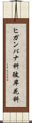 ヒガンバナ科 Scroll