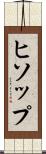 ヒソップ Scroll