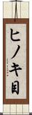 ヒノキ目 Scroll