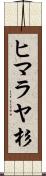 ヒマラヤ杉 Scroll