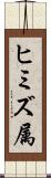 ヒミズ属 Scroll