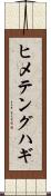 ヒメテングハギ Scroll