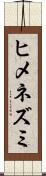 ヒメネズミ Scroll