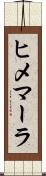 ヒメマーラ Scroll