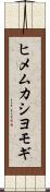 ヒメムカシヨモギ Scroll