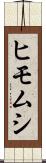 ヒモムシ Scroll