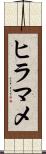 ヒラマメ Scroll