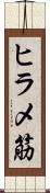 ヒラメ筋 Scroll