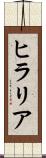 ヒラリア Scroll