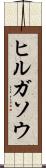 ヒルガソウ Scroll