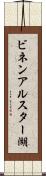 ビネンアルスター湖 Scroll